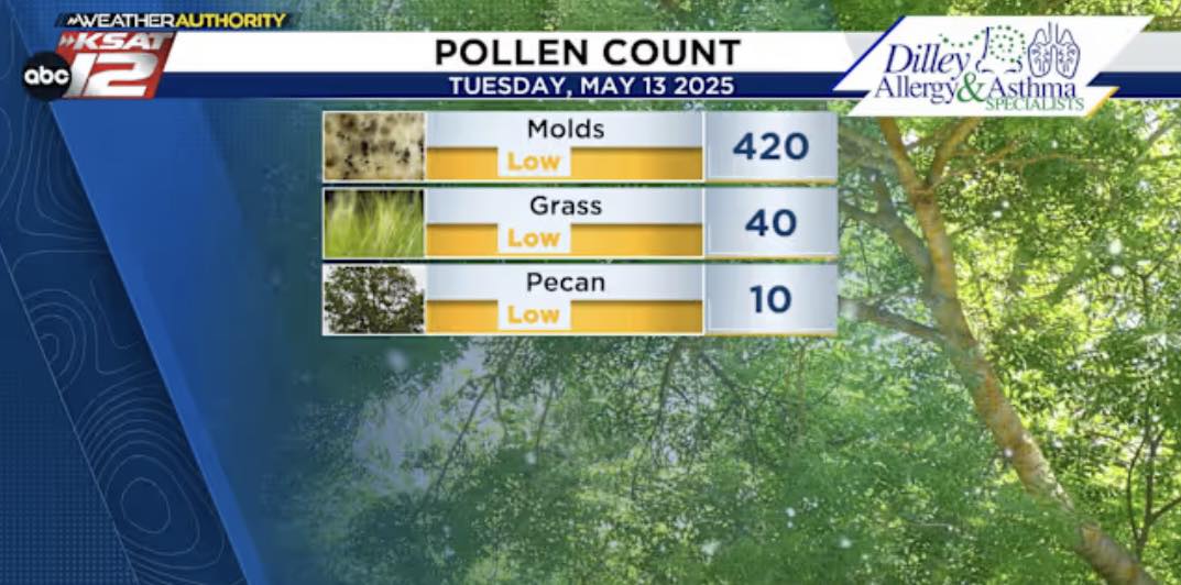 5.13.25 POLLEN COUNT