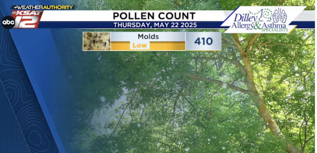 5.22.25 pollen count