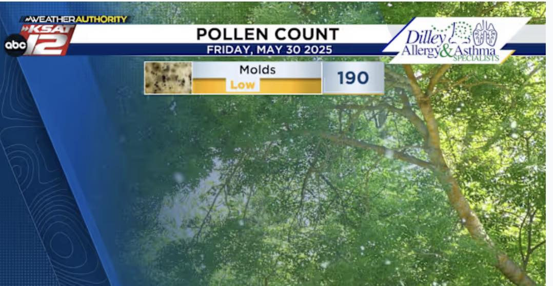5.30.25 Pollen Count