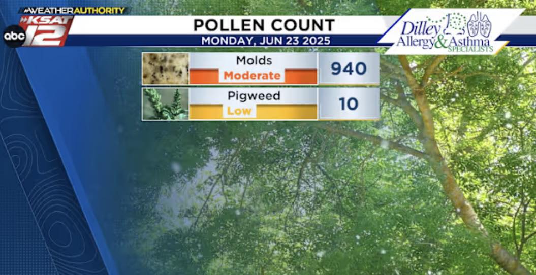6.23.25 pollen count